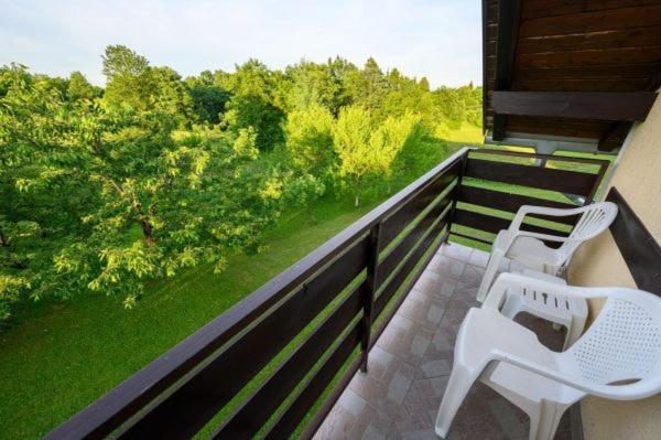 Guesthouse Mirko Hodak Селиште-Дрежничко Экстерьер фото