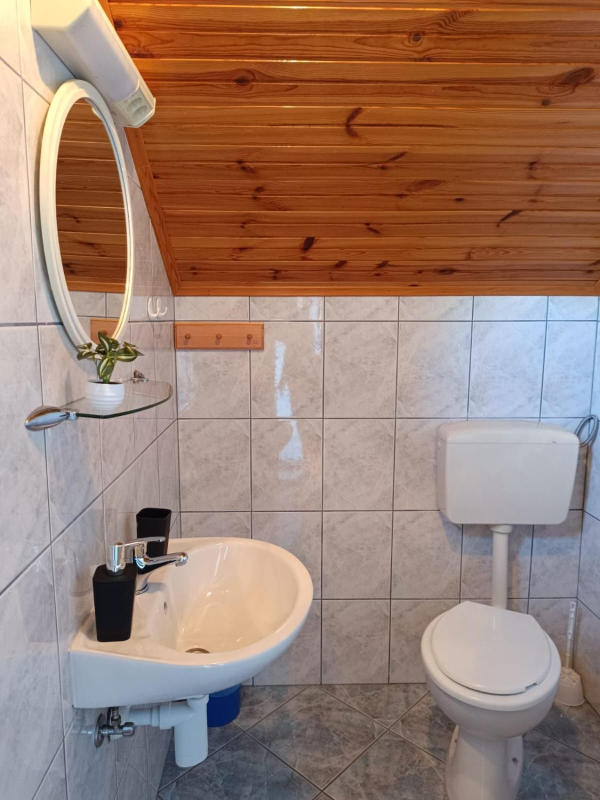 Guesthouse Mirko Hodak Селиште-Дрежничко Экстерьер фото