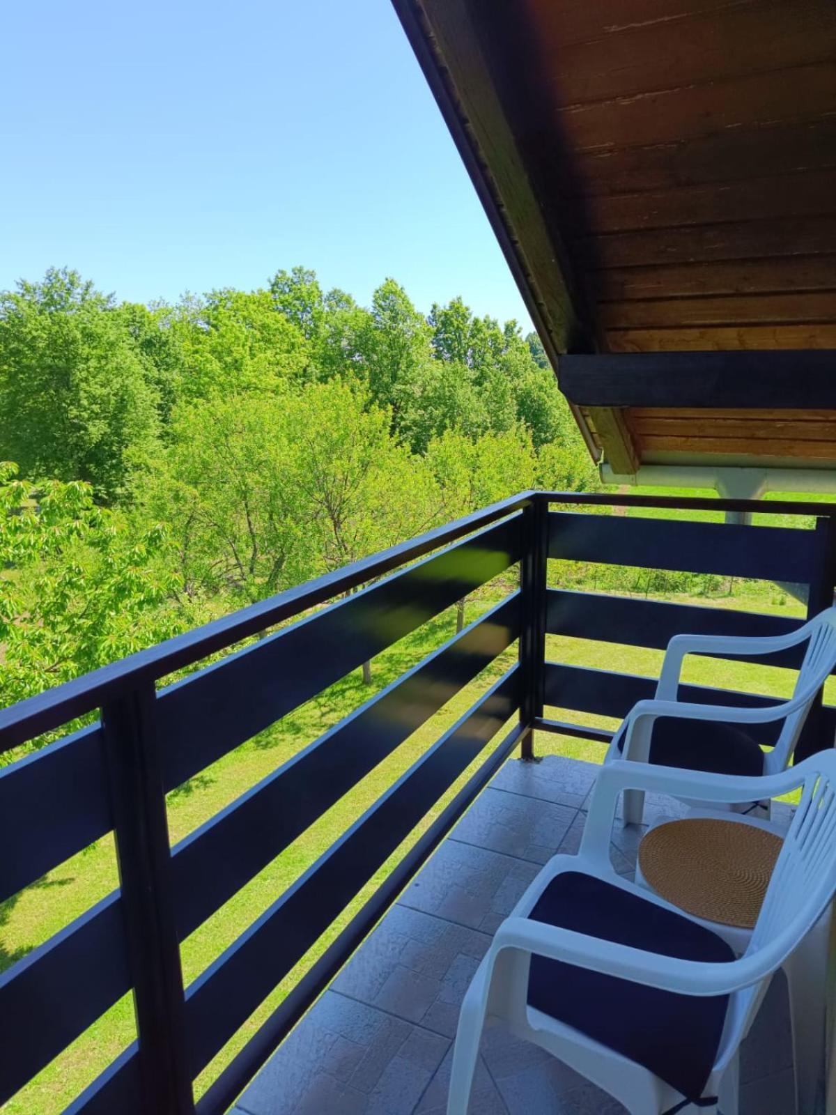 Guesthouse Mirko Hodak Селиште-Дрежничко Экстерьер фото